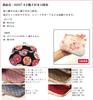 Сделано в Японии 4-дюймовый кошелек-гамагучи «Родитель-ребенок» Полностью дизайн «Цветение сакуры», Белый, Кошелек для мелочи и Картхолдер, Никко Тиримен, Эдо Комон