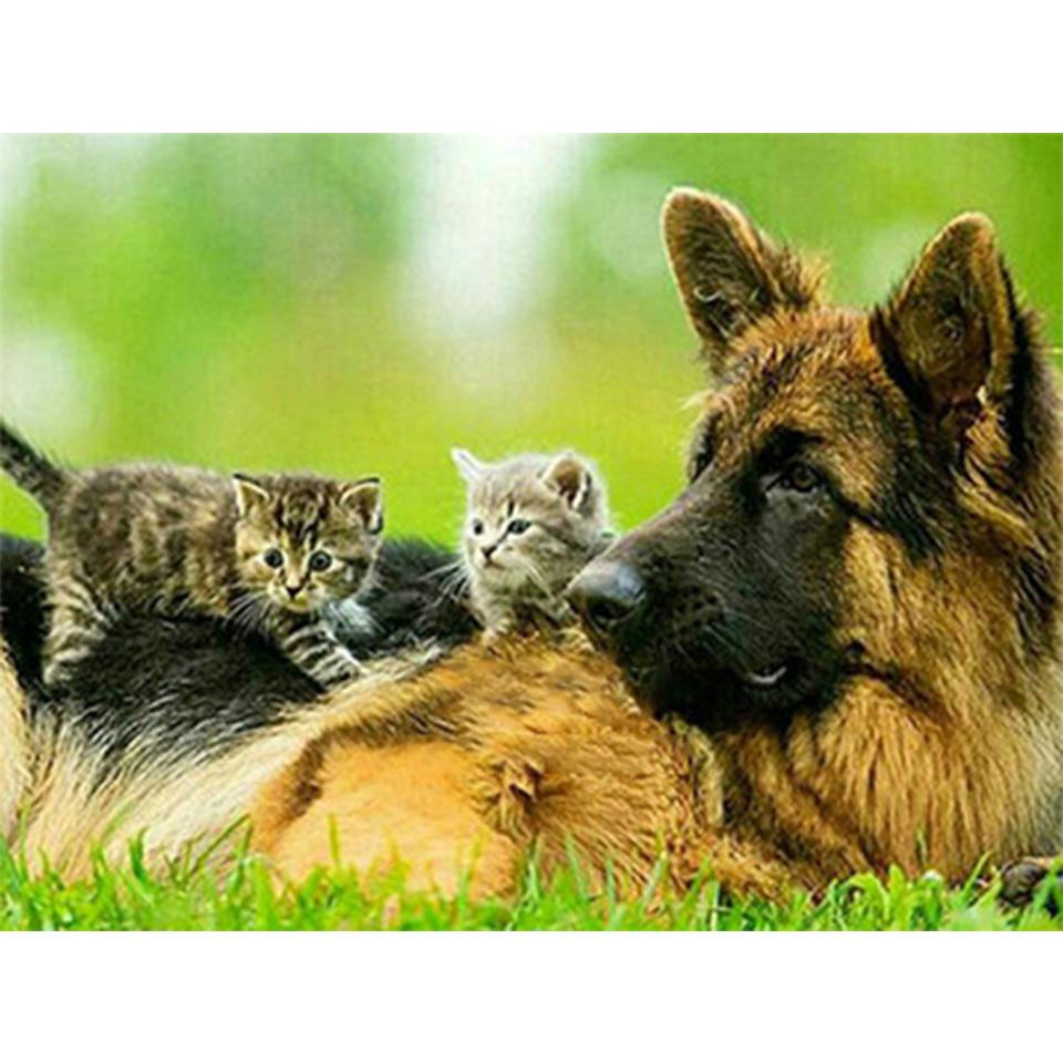 5D DIY алмазная живопись животное собака горный хрусталь художественная картина овчарка Алмазная вышивка горный хрусталь мозаика домашний декор подарочный комплект