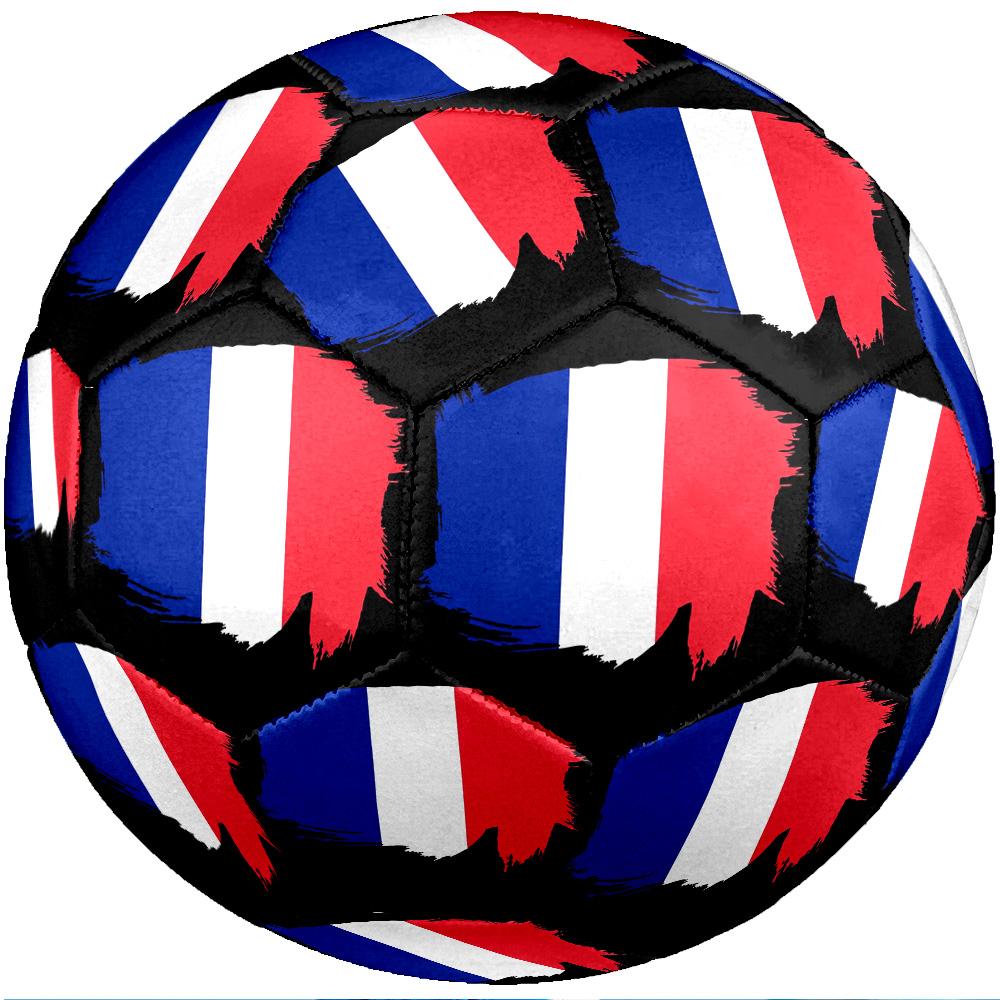 France national football team Theme soccer ball Size 5 Soccer Ball Soft Touch Professional Training Football for Outdoor Sports
