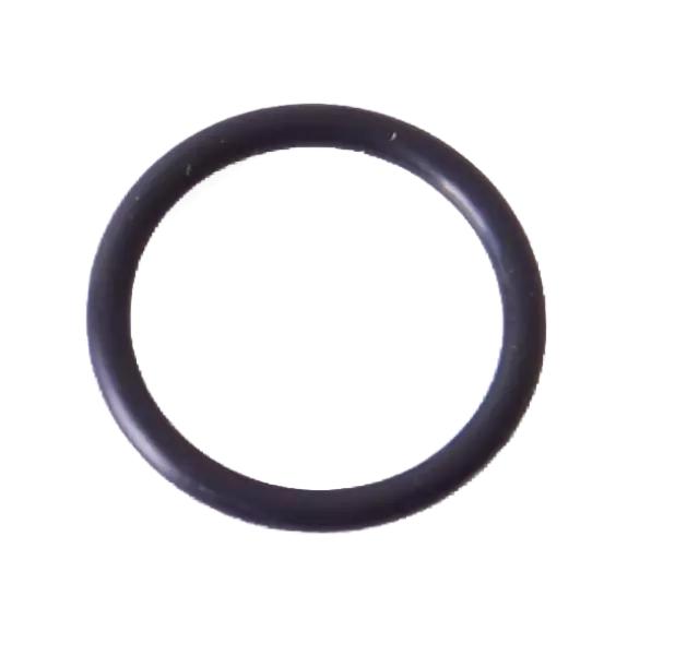 Oring 16,0 X 2,0 Kärcher 6.362-903.0