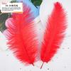 20Pcs57 Big Red Feather Diy Jewelry Accessories Clothing Handicrafts Decorative Materials