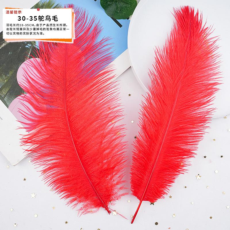 20Pcs57 Big Red Feather Diy Jewelry Accessories Clothing Handicrafts Decorative Materials