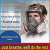 6800 Full-Face Silicone Mask: Anti-Gas, Dust, Chemical, Spray Paint, Pesticide, Welding & Fire Protection