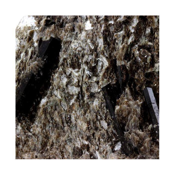 Pierres et Minéraux. Tourmaline Dravite + Muscovite. 1119.00 ct. Lombardie, Italie.