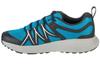 Columbia Peakfreak Roam, Mens Blue Trekking Shoes