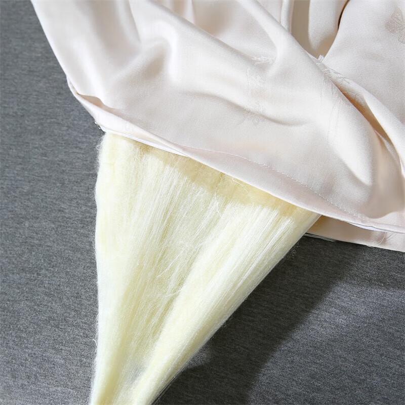 Youmeng Jiaju Premium Golden Mulberry Silk Quilt