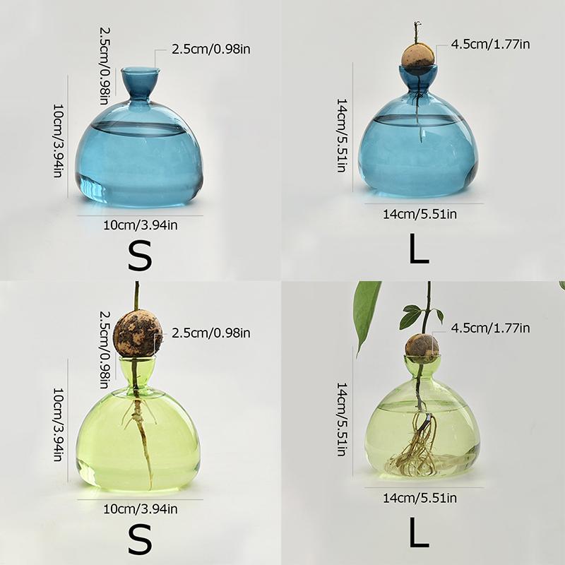 1шт набор для выращивания семян подарок для любителей садоводства домашний декор прозрачная стеклянная ваза