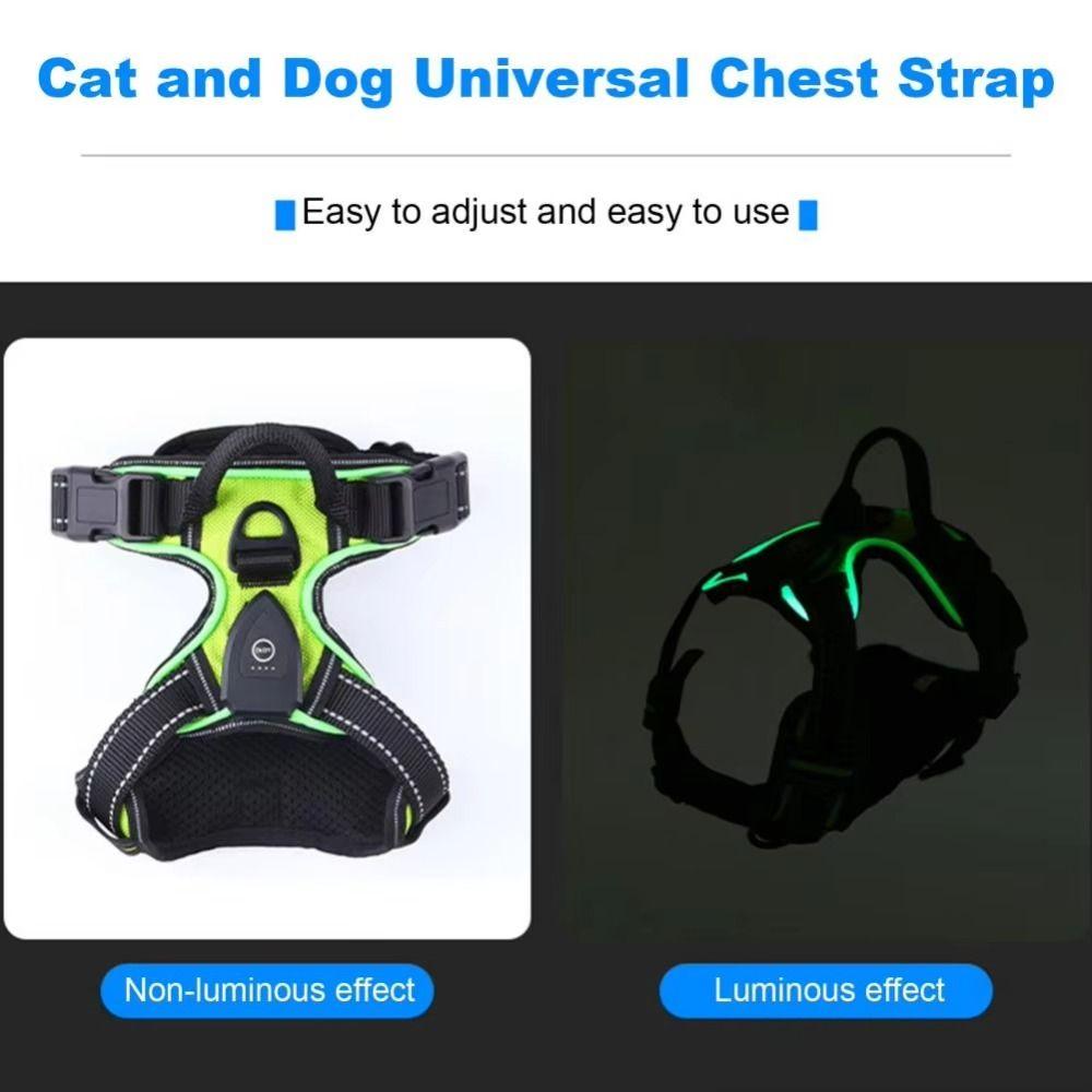 Light Up LED Dog Harness Rechargeable Flashing Luminous Pet Chest Strap Soft Padded Collar Dog Glow Vest for Night Walking