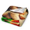 A-Alvin and the Chipmunks Theodore Blanket  Flannel Throw Blanket Summer Air Conditioning Printed Lightweight Bedspreads,