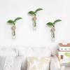 Japanese Wall-Mounted Wood & Glass Hydroponic Plant Holder