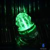 LED Flashing LED Fishing Lamp Plastic Night Fishing Lamp LED Fish Attracting Indicator  Underwater