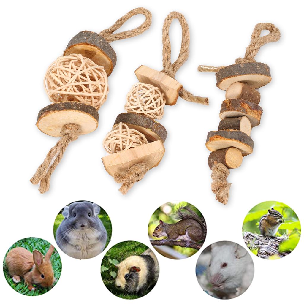 Hamster Chew Toys 3pcs Chinchilla Chew Toys Teeth Care Molar Toy for Rabbit Hamster Guinea Pigs