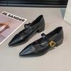 High-end Pointed Leather Single Shoes Women's Autumn New Korean Version French Gentle Fairy Temperament High-heeled Mary Jane Shoes