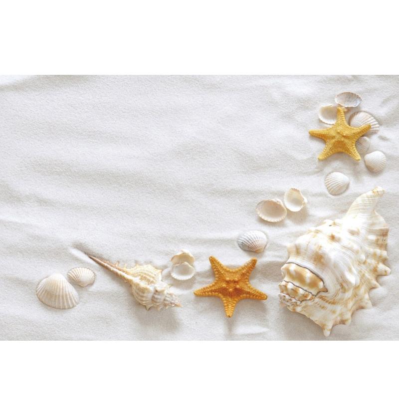 Tropical Beach Backdrop Decoration Seashell Starfish Summer Vacation For Pool Party Celebration Backgrounds For Photographs