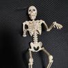 Подвижный скелет на Хэллоуин, полный рост, подвески-скелеты на Хэллоуин, жуткие скелеты для Хэллоуина, вечеринки в доме с привидениями, дома