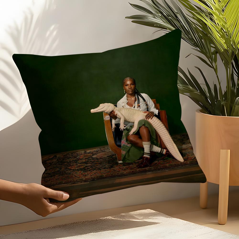 Hot DdoechiiES Album Pillow Case Home Living Room Decoration Linen Pillow Cases Cushion Cover