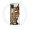 Чехол для Samsung Galaxy A71 сиамская кошка породы