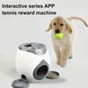 Автоматический метатель мячей для собак Интерактивный теннисный мяч для собак для использования в помещении и на открытом воздухе