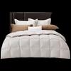 Luolai Super Soft Snow Region Goose Down Duvet