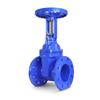 YunDuo Soft Seal Gate Valve