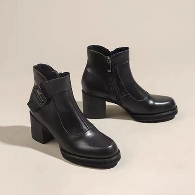 Женские зимние плюшевые сапоги на платформе с высоким каблуком, удобные офисные женские туфли на толстом каблуке, модные ботильоны на молнии