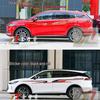 Наклейки на поясную линию и кузов BYD Tang DM второго поколения - Наклейки на автомобиль нестандартного цвета