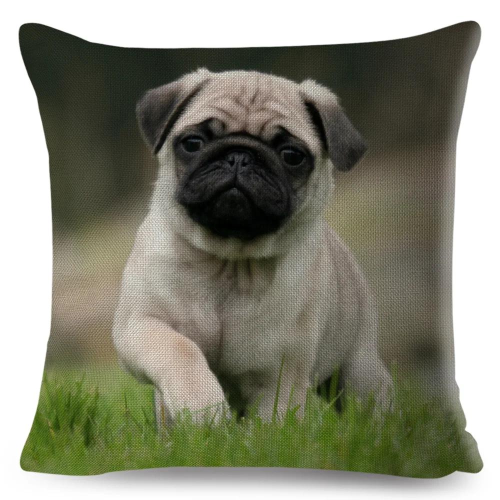 Both Sided Pug Dog Print Cushion Cover Decoration Pet Animal Pillow Case for Sofa Home Car Linen Pillowcase 45x45cm