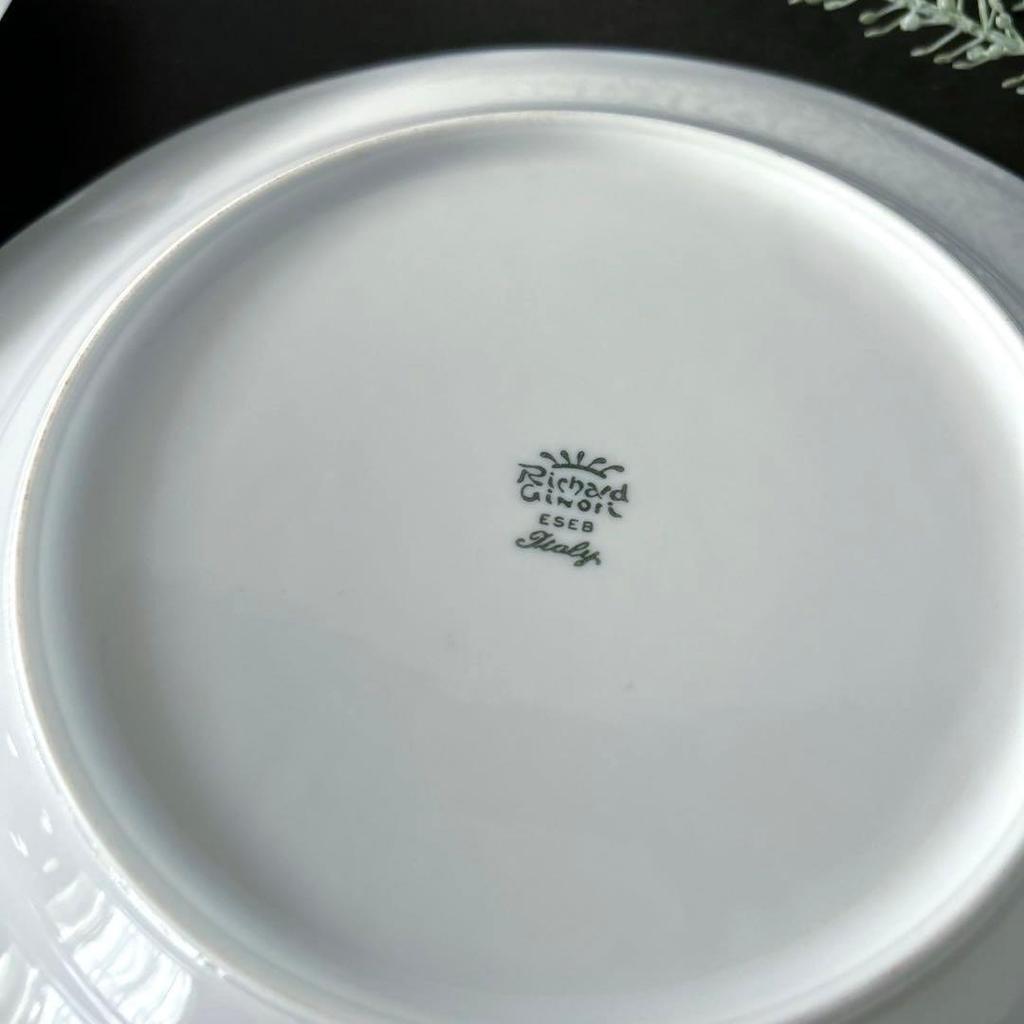 Used Richard Ginori Orient Express Plate x2