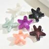 Exquisite New 1pc Claw Clip, Blue Dolphin and Starfish Acrylic Hair Claw, Rear Head Accessory