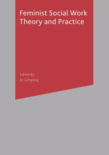 The Feminist Social Work Theory and Practice Book