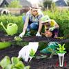 Гидропонные садовые семенные стручки Grow Anything Kit с аксессуарами Sponge Dome (30 комплектов)