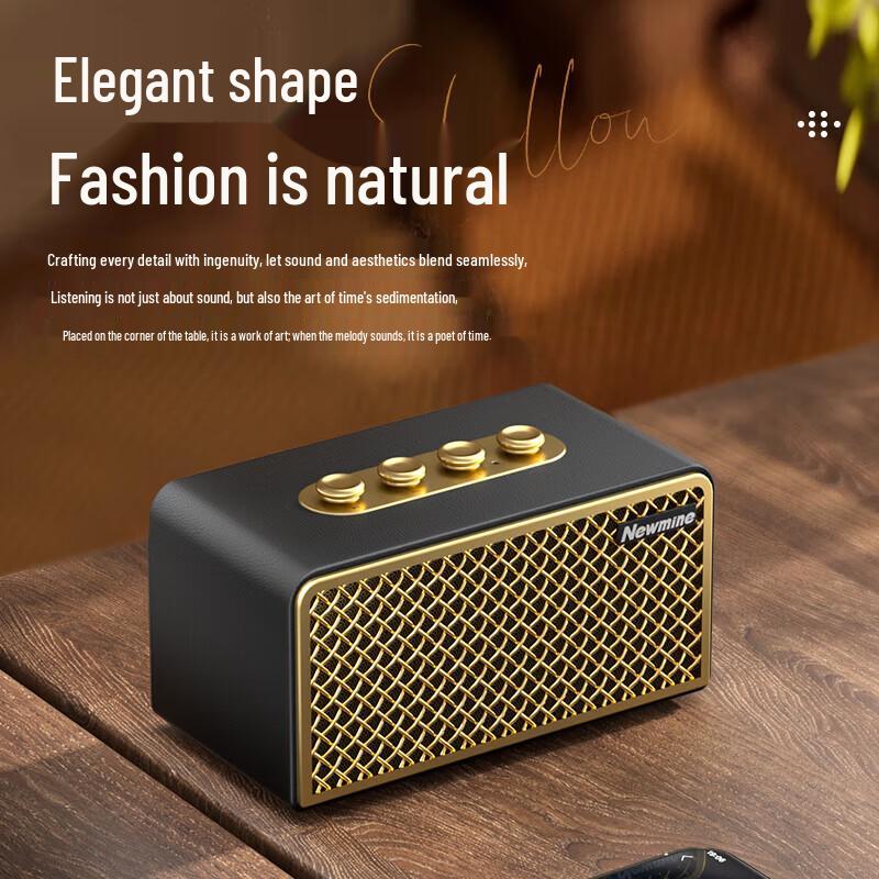 Портативная Bluetooth-колонка Newmine BT521, штекер CN (адаптер в комплекте)