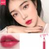 Beauty Lip Liner Waterproof Lasting Stain Free A Set of Crocheted Lip Liner Beginner Matte Developing Lipstick Pens