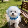 Cute Dog Muzzle: Anti-Swallowing, Breathable Pet Mask for Small Dogs—Outdoor Use, Anti-Licking, Safety Protective Muzzle