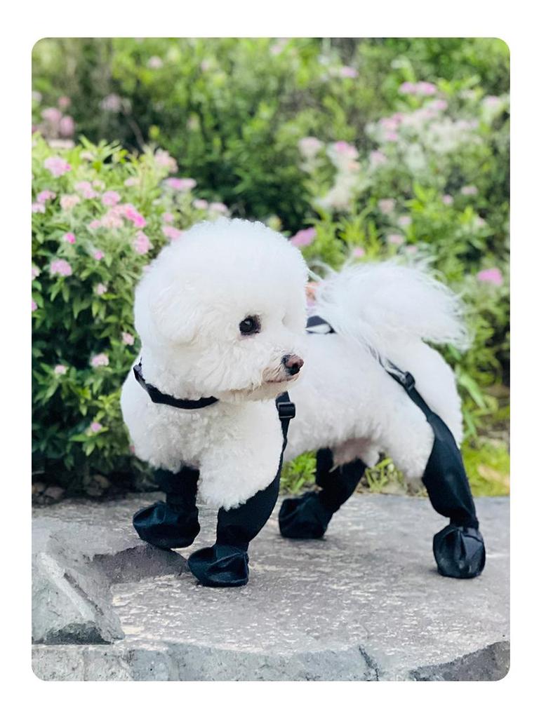 Four Seasons Waterproof Anti-Slip Dog Boots: Durable Pet Shoes for Outdoors