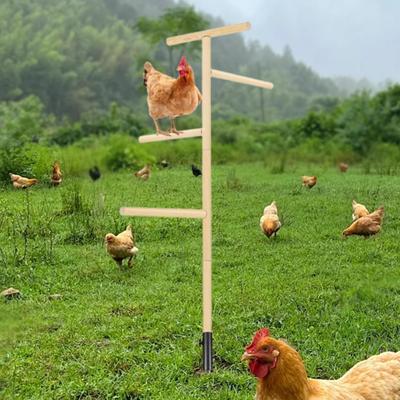 Куриный насест, деревянная подставка для цыплят, дрессировка птиц, простая сборка для курятника