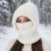 Windproof Neck Warmer Thick Warm Full Face Mask Hat Fashion Knitted Balaclava Hat  Winter
