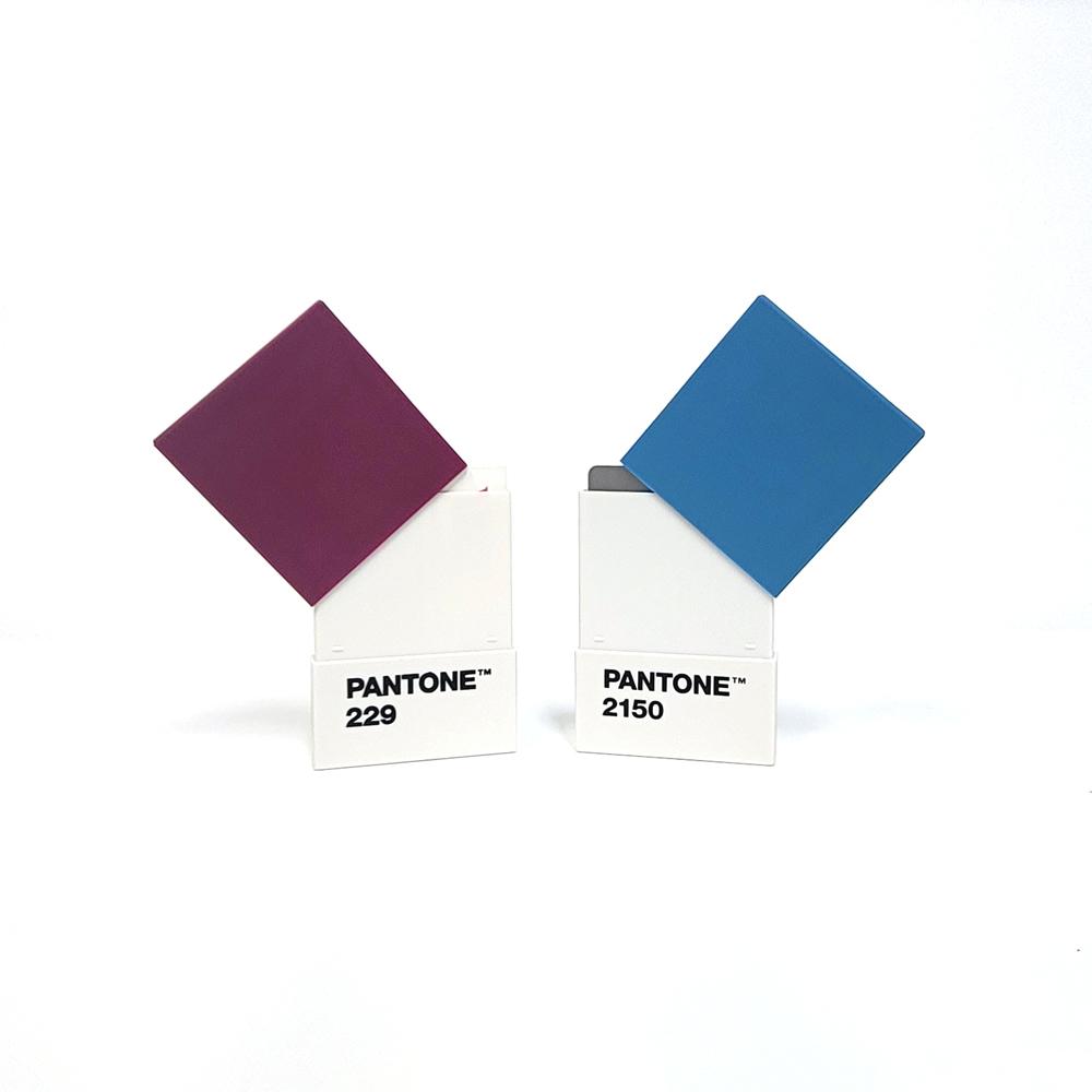 Кейс для карт Pantone Living (Баклажан 229)