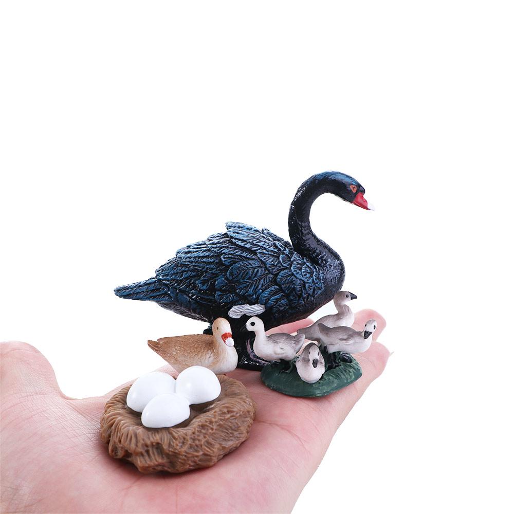 Toys Miniature Cycle Duck Figurine Life Cycle Figures White Goose Growth Cycle Simulation