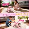 Robot Musical Voice Follows Interactive Toy for Boys and Birthday Soothing Christmas Gift for Kids and the Family Dog, Playing, Programmable,