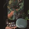 Tangzu Waner 2 Jade Dragon Edition 10mm PET Single Dynamic Driver In-Ear Headphones with Silicone Storage Bag 4