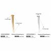 Golded C Shape Ear Cuff Stainless Steel Tassel Earrings Retro Gold Jewelry  Travel