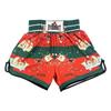 Martial Arts Shorts Men Women Kids Digital Print Muay Thai Boxing MMA Sanda Training Competition Pants