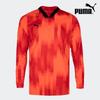 Puma Функциональная вратарская форма Team Target Dry Cell 70564601