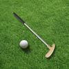 1 Set Mini Golf Putter Club with 2 Golf Balls TPR Grip Right Left Handed Stainless Steel Golf Club Kids Adults Table Game Golf Putter Training
