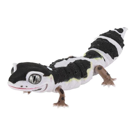 Japanese Genuine Gacha Scale Model Great Biological Encyclopedia Series Reptiles Armadillos Guard Lizards Action Figure Toys