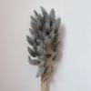 60 шт. Натуральный букет из сухоцветов «Хвост кролика», декор для свадебной вечеринки, пушистая пампасовая трава, рождественская DIY цветочная композиция