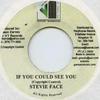 7-дюймовая пластинка STEVIE FACE - If You Could See You V1 Records 2000 Ямайка Регги, Ска и Даб