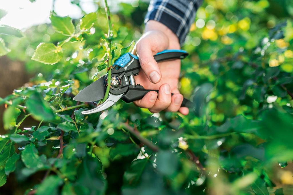 ERGO PRUNING SHEAR - C 41-020