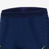 Nike Сплошной цвет с логотипом и кулиской Футбольные джоггеры Player Edition Мужские брюки Синие CW1115-429